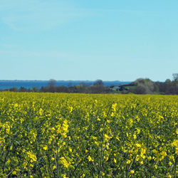 Wandern in Habernis