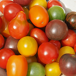 Bio-Cherry-Tomaten von Jochen Höft