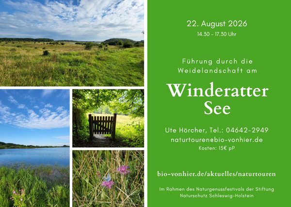 Postkarte